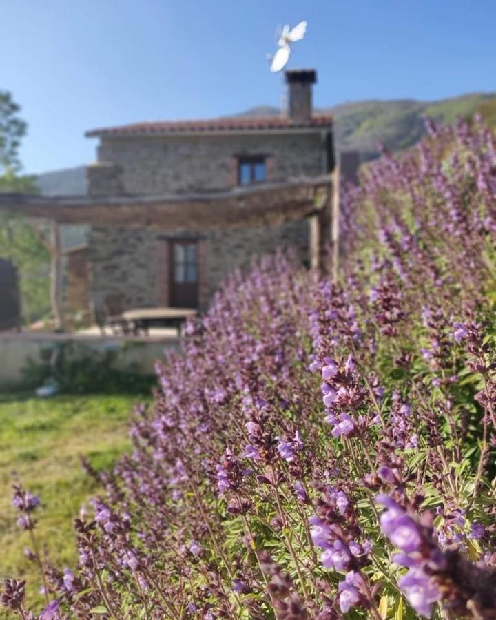 Can Rovira De Fogars Montseny Exterior photo